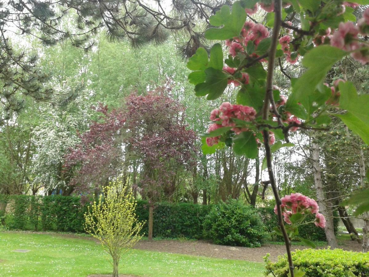 Chambre D'Hotes Les Hortensias Rang-du-Fliers Zewnętrze zdjęcie