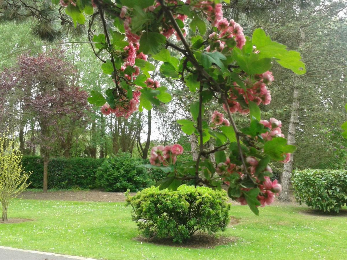 Chambre D'Hotes Les Hortensias Rang-du-Fliers Zewnętrze zdjęcie
